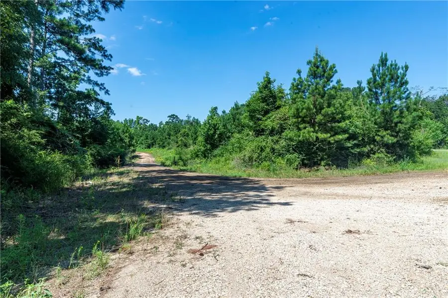 Lot 2 Ten Mile Road, Pitkin, LA 70656 - #3