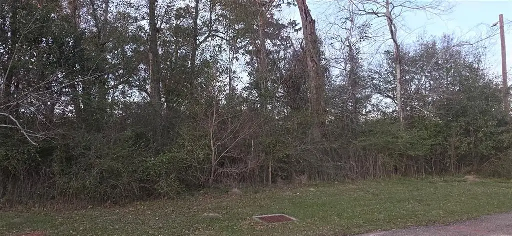 0.45 Acres E. Park Avenue, Hammond, LA 70403 - Image #1