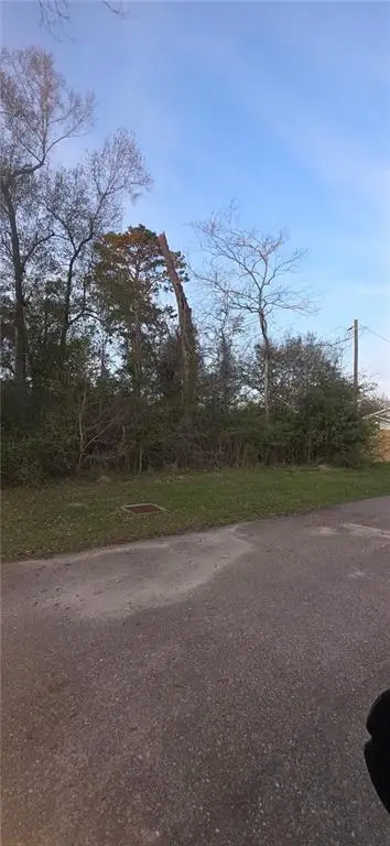 0.45 Acres E. Park Avenue, Hammond, LA 70403 - Image #3