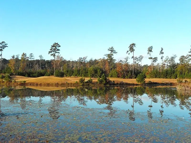 749 Grey Heron Lane, Madisonville, LA 70447 - Image #3