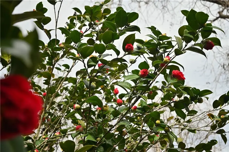 134 Clay Road, Mansura, LA 71350 - #3