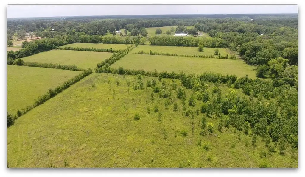 0 Robinson Bridge Road, Woodworth, LA 71485 - Image #1