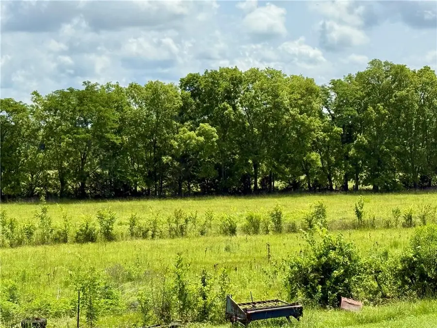 0 Robinson Bridge Road, Woodworth, LA 71485 - Image #3