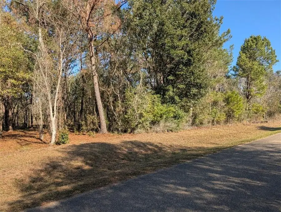 Azalea Drive, Abita Springs, LA 70420 - #2