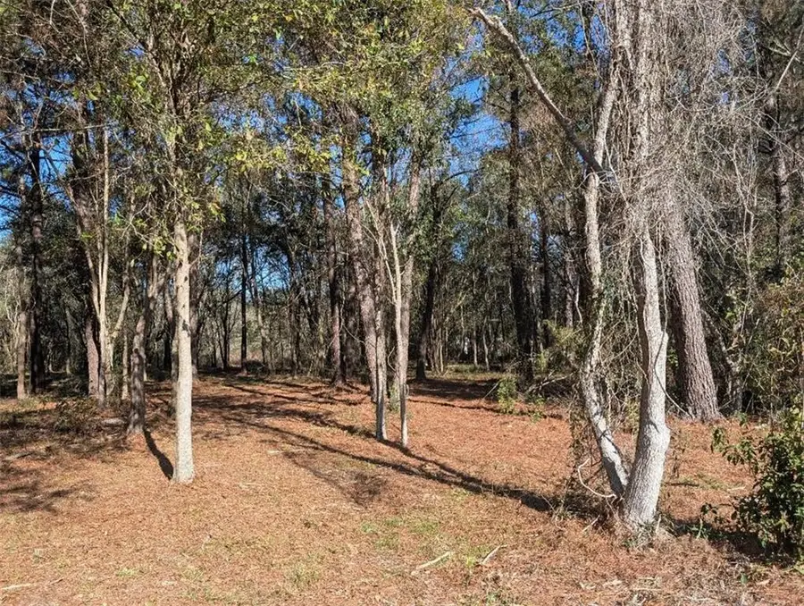 Azalea Drive, Abita Springs, LA 70420 - #3