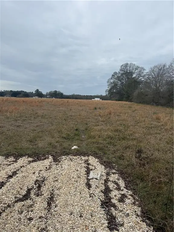 TBT Us 51 Highway, Amite, LA 70422 - #1