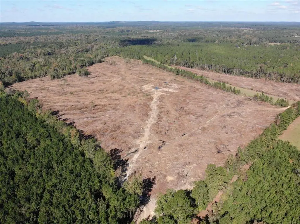 251 Domino Road, Bienville, LA 71008 - #1