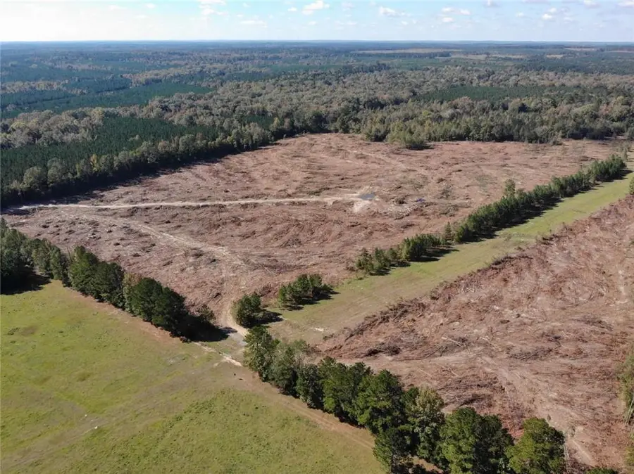 251 Domino Road, Bienville, LA 71008 - #2