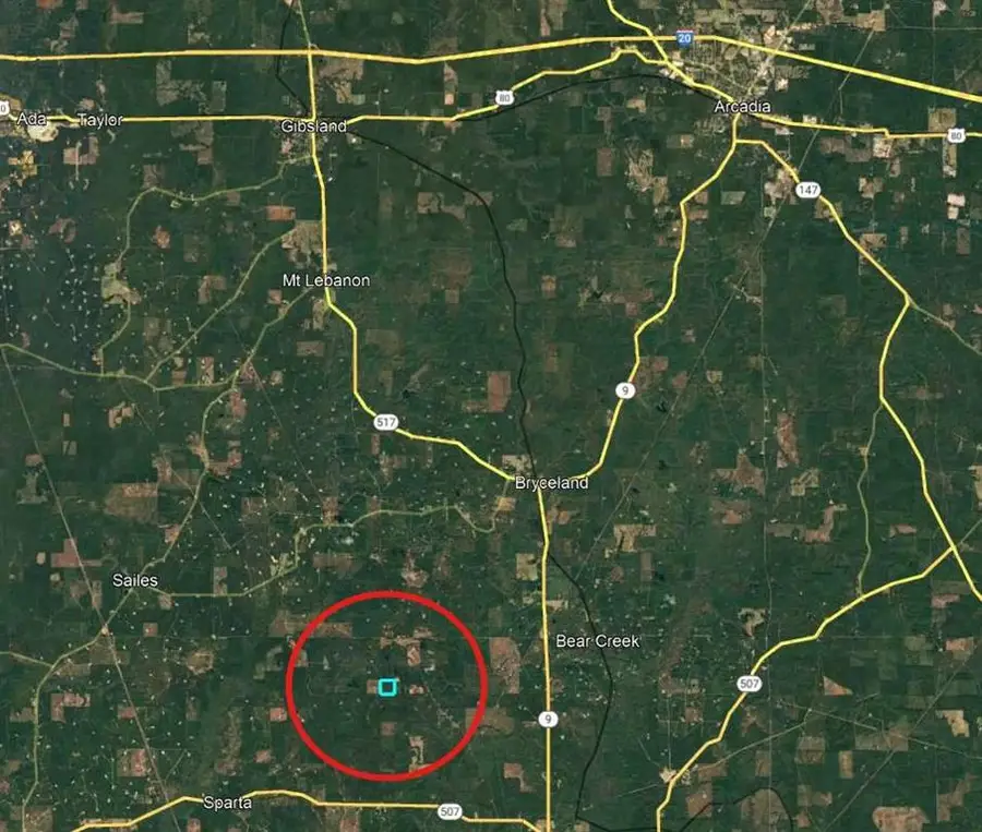 1297 Shiloh Road, Bienville, LA 71008 - #2