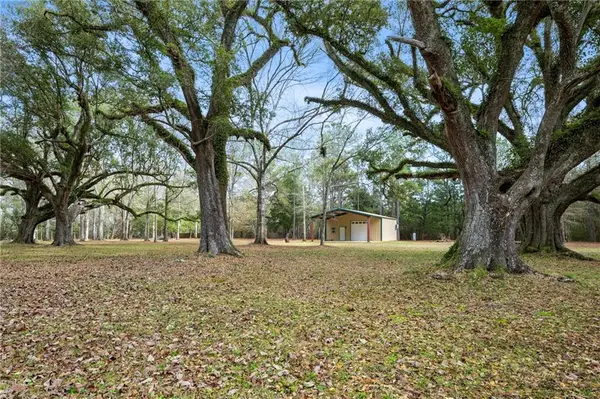 80022 Watts Thomas Road, Bush, LA 70431