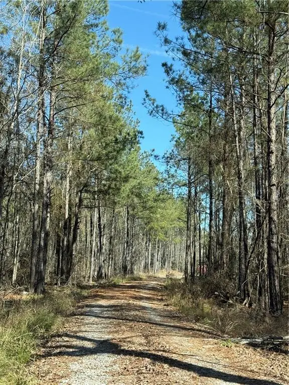 92 H. Strange Road, Lecompte, LA 71346 - #1