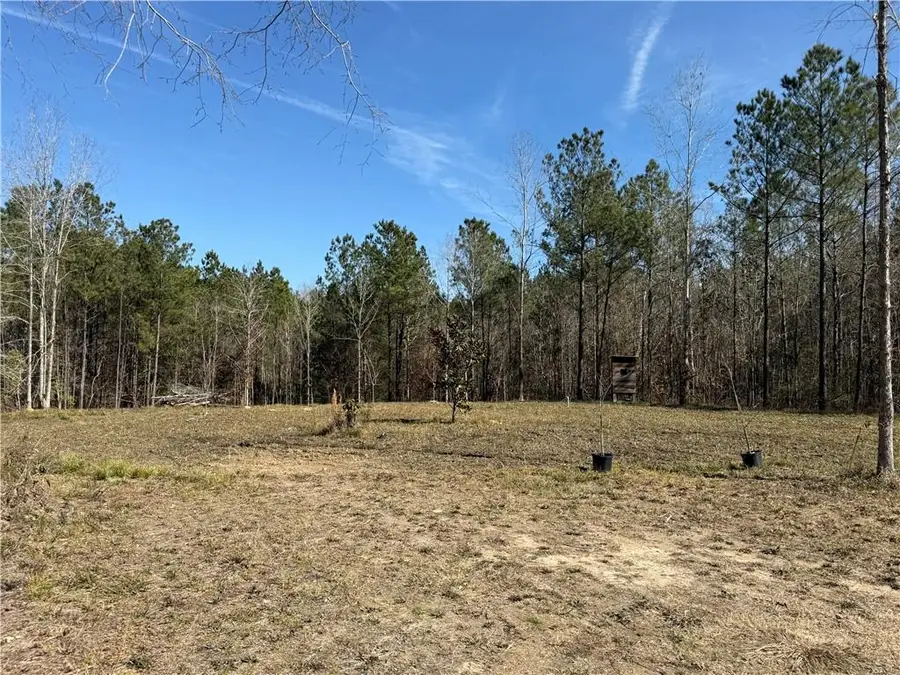 92 H. Strange Road, Lecompte, LA 71346 - #3