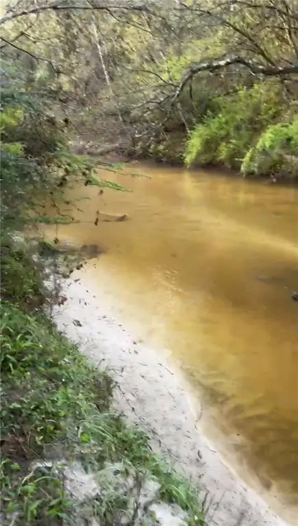 79173 Lady Lane, Folsom, LA 70437