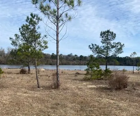 Lot 141 Shore Dr. Drive, Franklinton, LA 70438