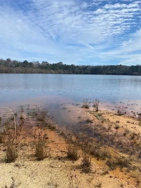 Lot 141 Shore Dr. Drive, Franklinton, LA 70438 - #2