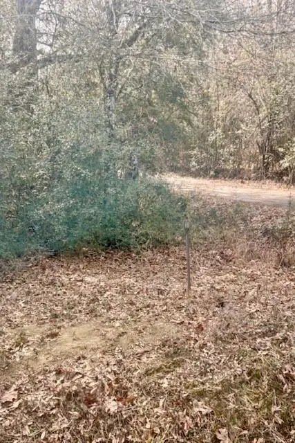 40 Acres Joiner-wymer Road, Covington, LA 70433 - #2