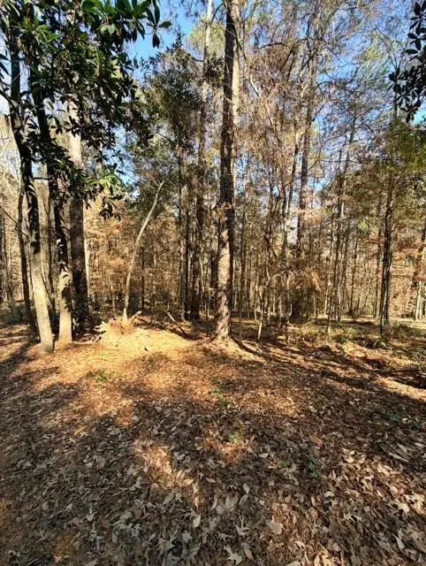 304 Raintree Place, Pineville, LA 71360