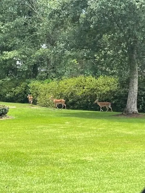 20140 Walden Street, Covington, LA 70435 - #2