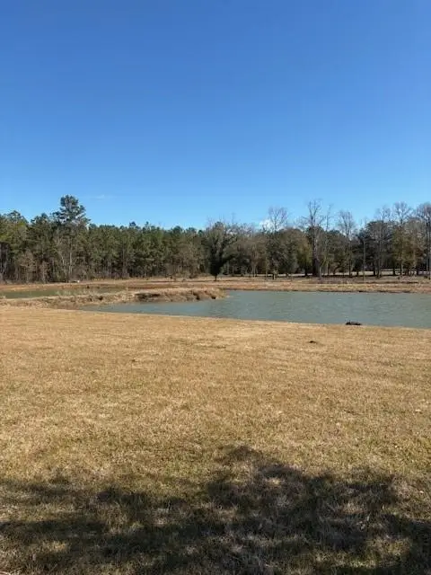 20140 Walden Street, Covington, LA 70435 - #3