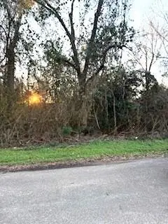 427 21st Avenue, Franklinton, LA 70438 - #1