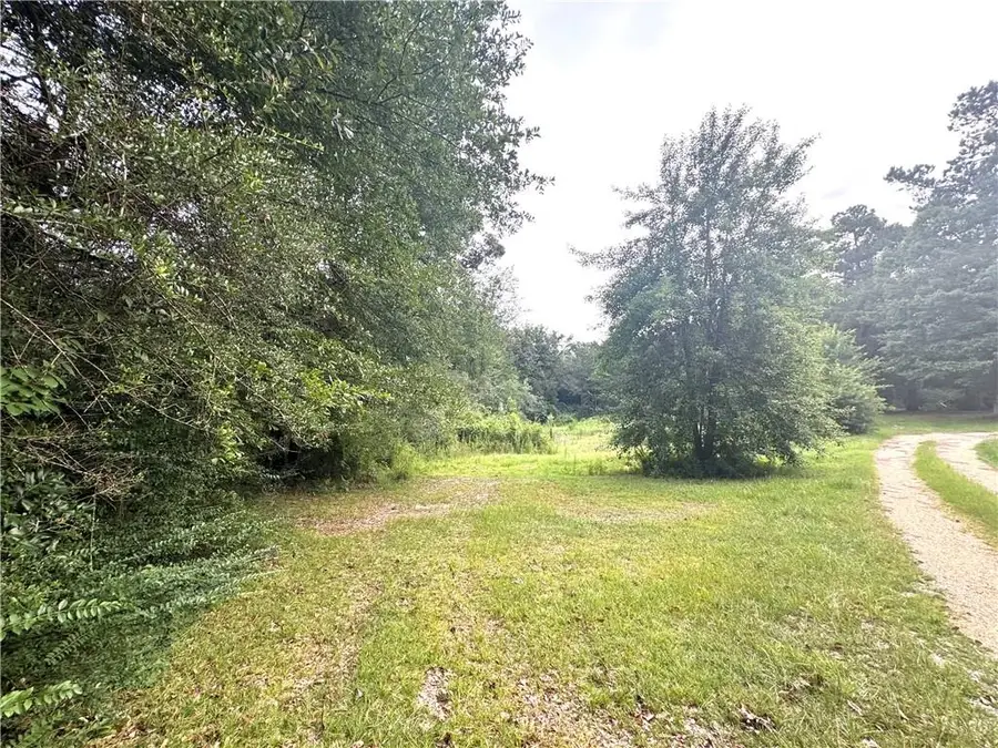 26354 C. Jenkins Road, Angie, LA 70426 - #3