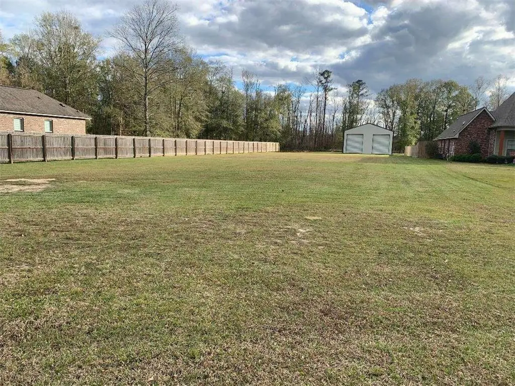 12289 Leblanc Lane, Walker, LA 70785 - #1