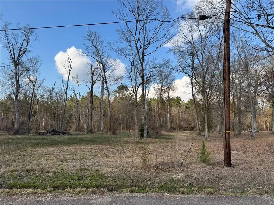 Tract 2-D E Shadow Lake Drive, Holden, LA 70744 - #2