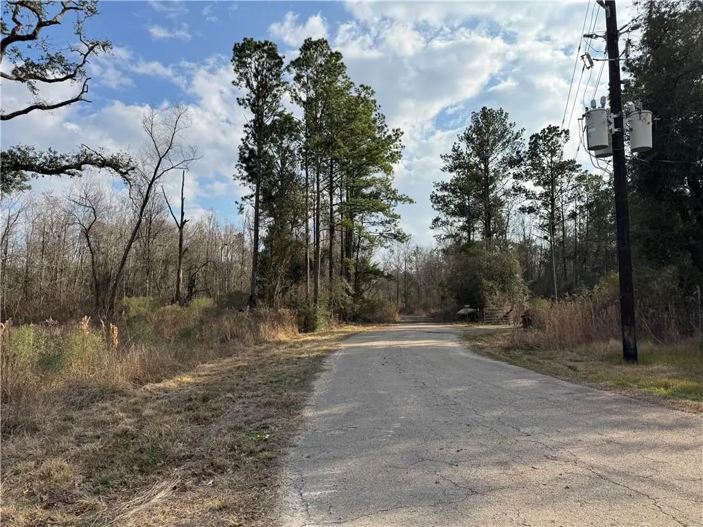 TBD Winder Road, Springfield, LA 70462 - #1