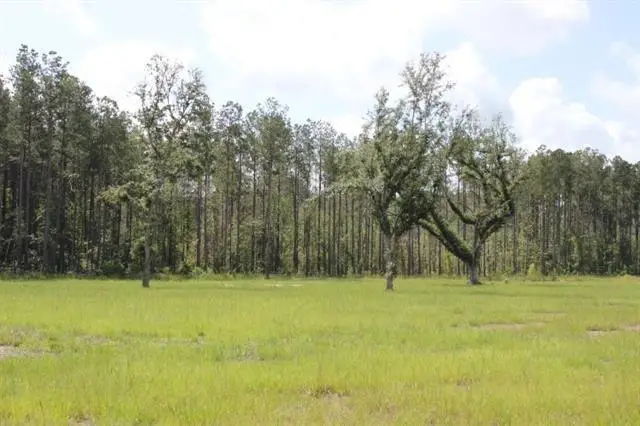 29658 Billy Joe Road, Independence, LA 70443 - #1