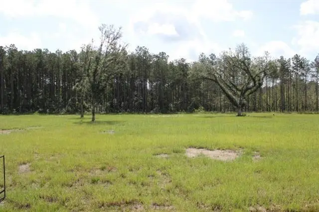 29658 Billy Joe Road, Independence, LA 70443 - #2