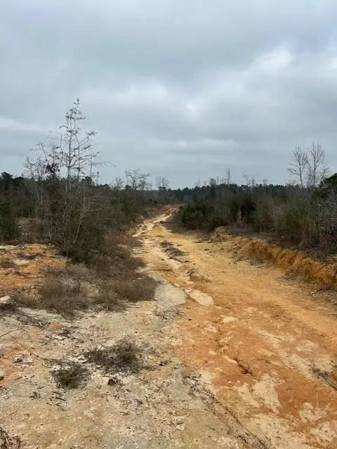 16412 Mccauley Sheridan Road, Bogalusa, LA 70427 - #2