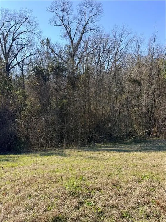 000 Highway 165, Pollock, LA 71467 - #3