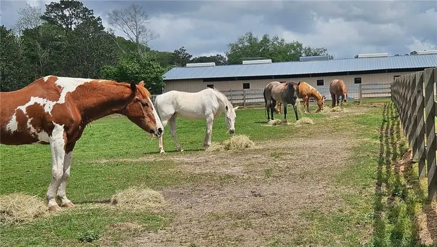 14712 Graci Road, Folsom, LA 70437 - #3