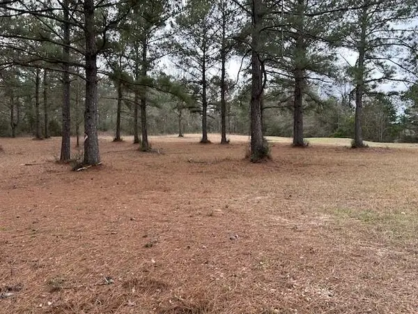 26585 Old Lake Road, Mount Hermon, LA 70450