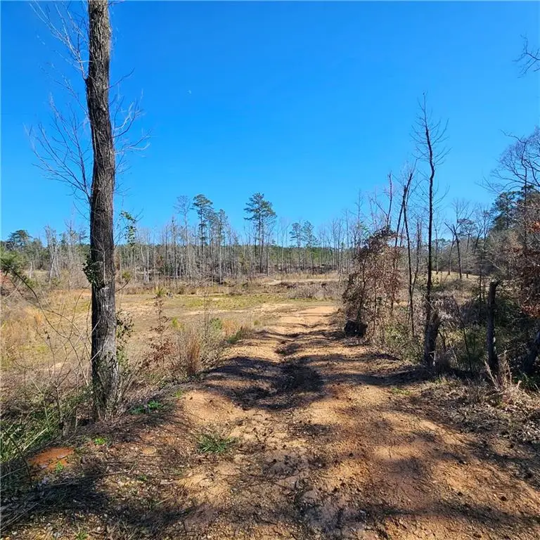 1531 Nelms Loop, Colfax, LA 71417 - #1