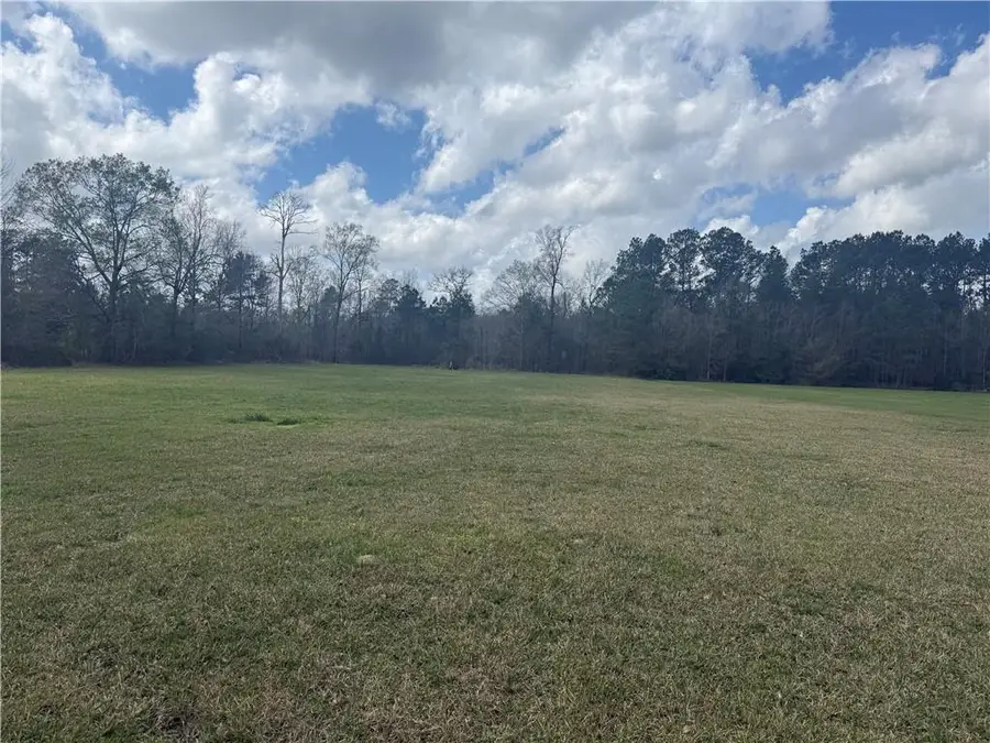 TBD Palmisano Drive, Hammond, LA 70403 - #3