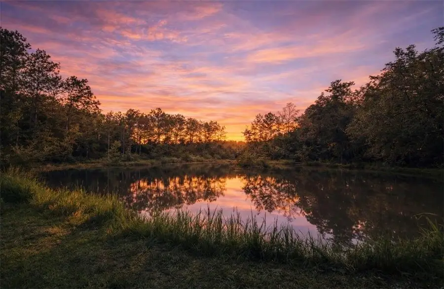 23708 Hutchinson Road, Springfield, LA 70462 - #3