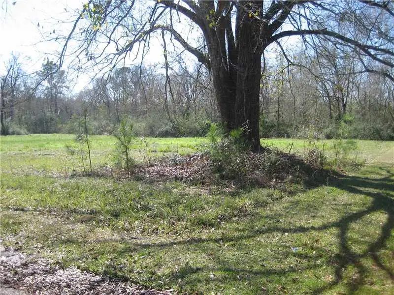 15726 Professional Plaza, Hammond, LA 70403 - #2