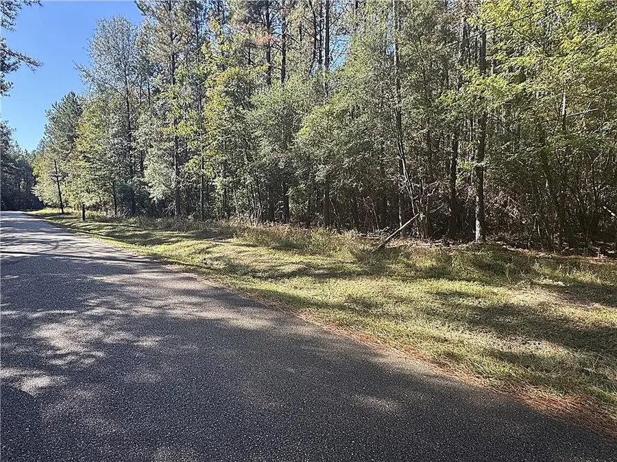 12 Acres Bruhl Road, Folsom, LA 70437 - #2
