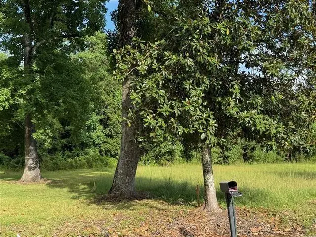 32882 Lower Rome Road, Springfield, LA 70462 - #1