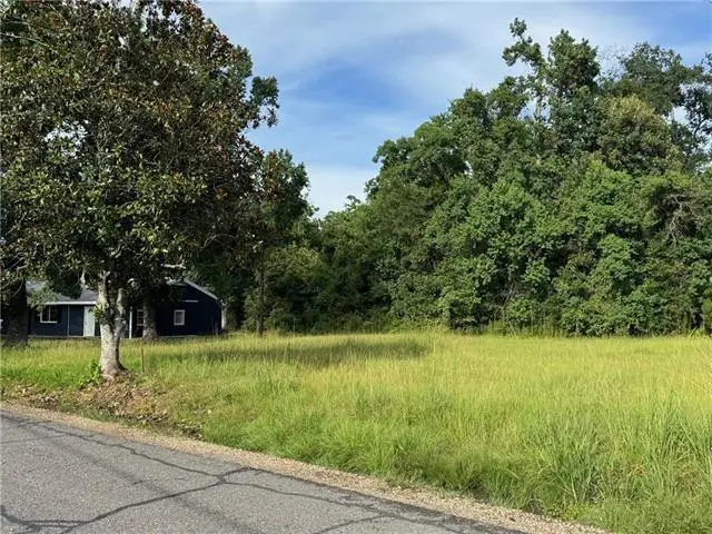 32882 Lower Rome Road, Springfield, LA 70462 - #3