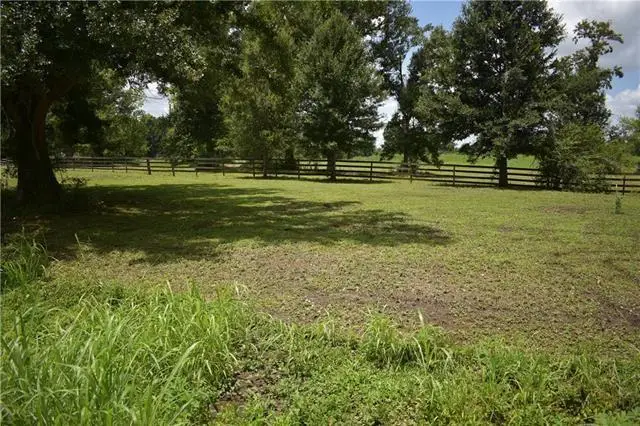 Twin Oaks Dr Lot 1 Drive, Raceland, LA 70394 - #2
