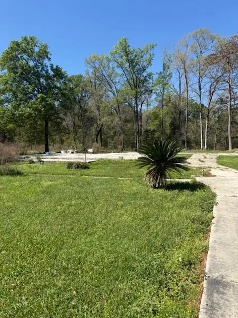 20263 Hollie Lane, Ponchatoula, LA 70454 - #2