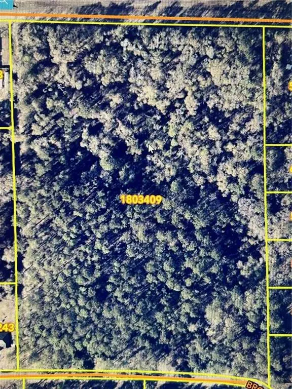 Brown Road, Ponchatoula, LA 70454 - #2