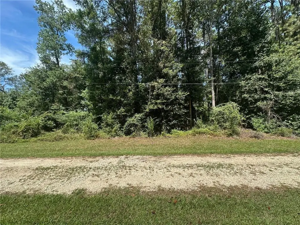 TBD Tract 4 Ragusa Road, Independence, LA 70443 - #1