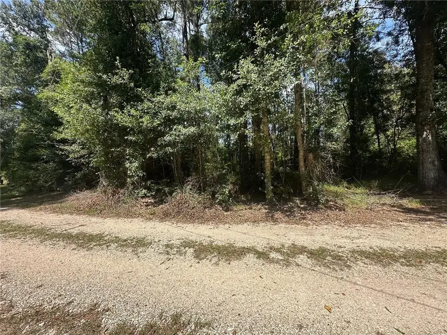 TBD Tract 4 Ragusa Road, Independence, LA 70443 - #2