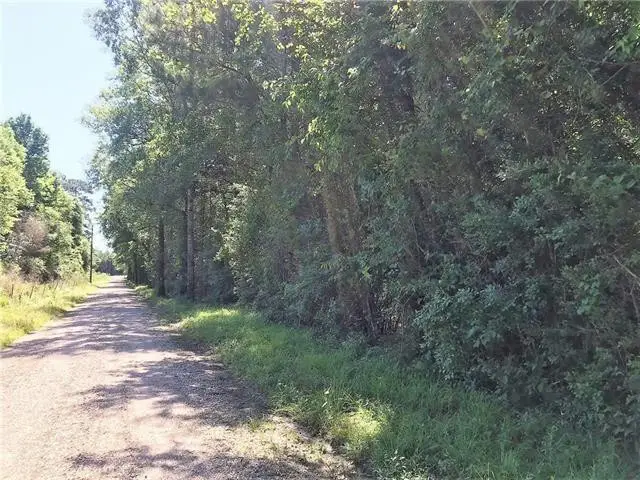 61 Acres Stein Road, Sun, LA 70463 - #2