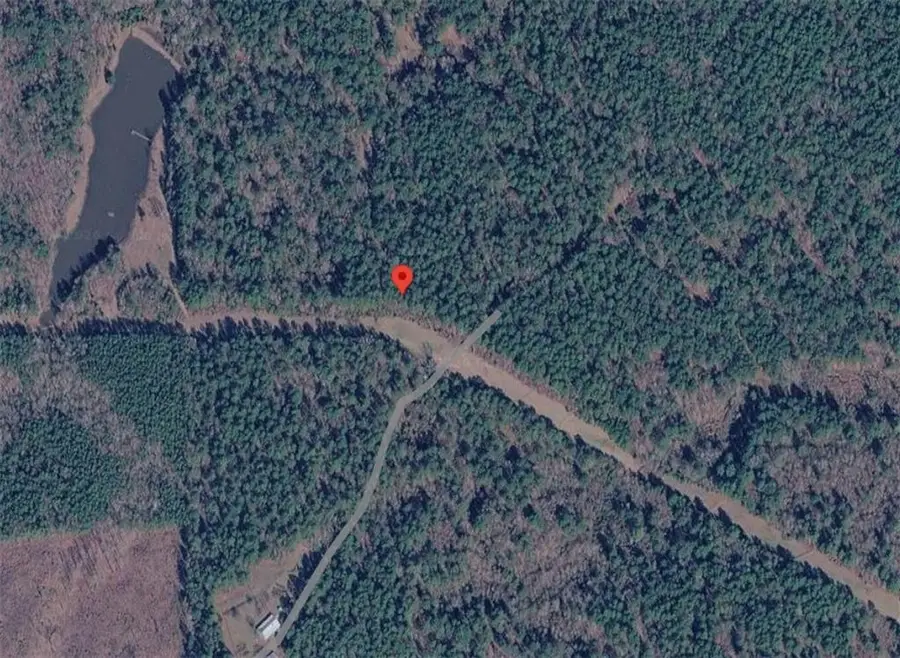 43009 None Road, Ida, LA 71044 - #2