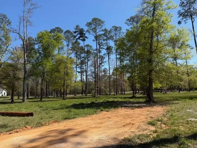 Cypress Pond Road, Mandeville, LA 70448 - #3