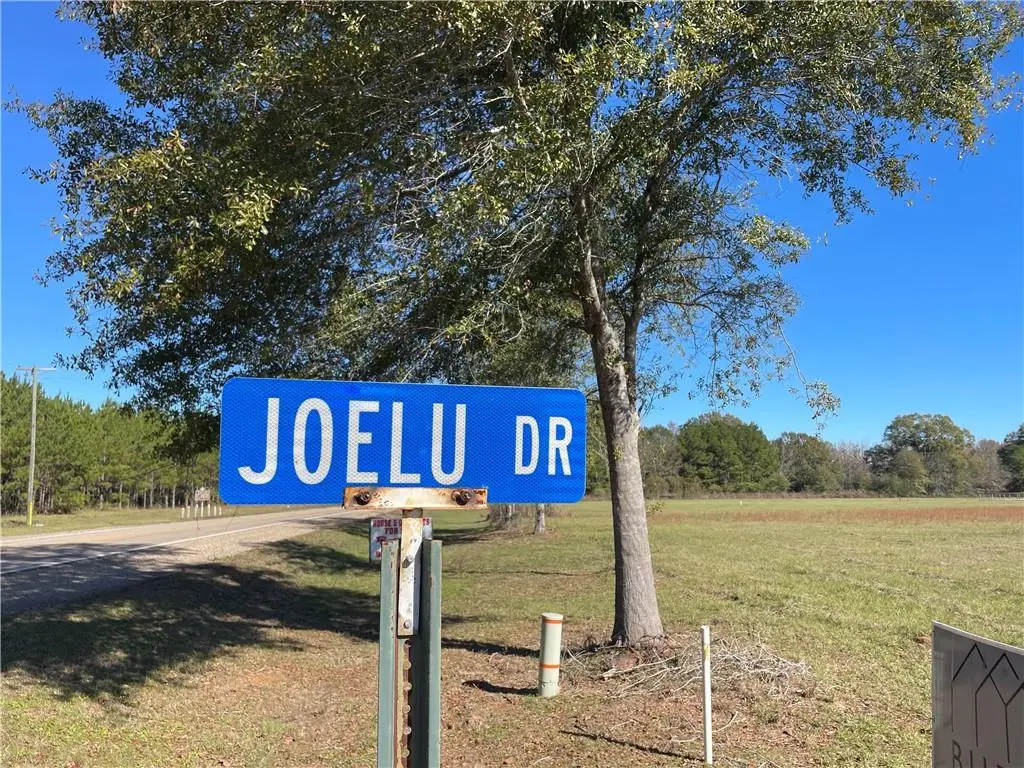 Lot 9 Joelu Drive, Franklinton, LA 70438 - #1